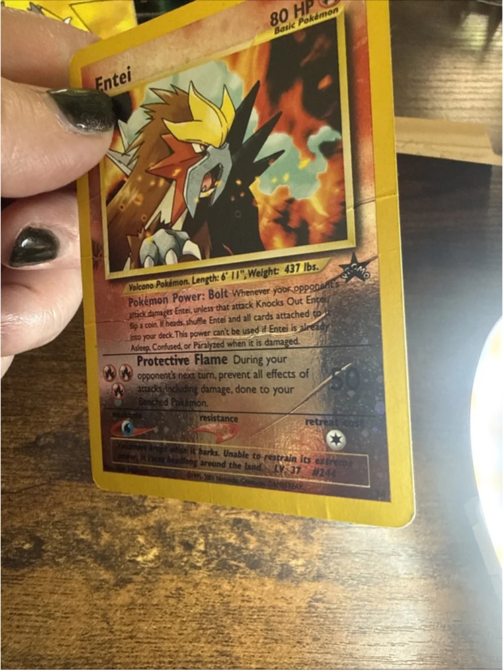 Pokémon TCG Entei Wizards Black Star Promos 34 Holo Promo Promo